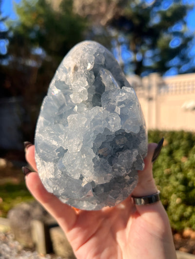 Giant Celestite Egg